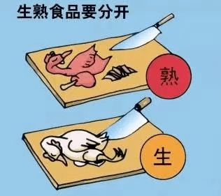禽流感如何预防