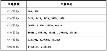 股票的中签号怎么看?