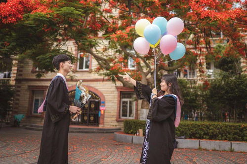 山海之间,中国最美的大学在哪里