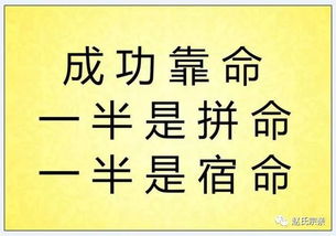 成功靠命,做官靠运,发家靠钱,才能靠学 七分靠做人三分靠做事