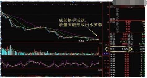 一直股票连续四天换手率超过10%，下步应该怎样操作