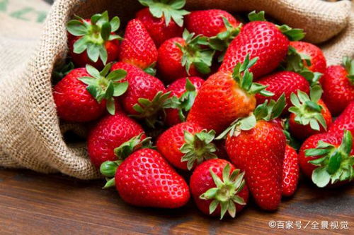 草莓什么季节成熟采摘草莓几月份上市,草莓什么季节成熟采摘草莓几月份上市