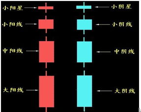 我想学一些关于炒股的知识，那我大学应该学什么专业，平时应该读什么书