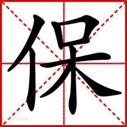 保字在田字格里怎么写 