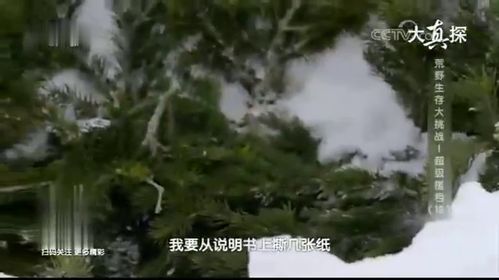 小屋建造的差不多了,两人可以找柴火了 