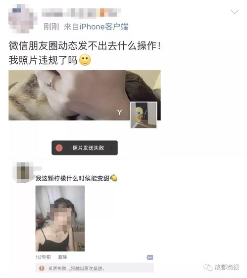 微信崩了 朋友圈发不出,赞点不了,网友 还以为手机坏了