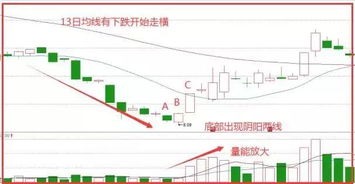 个股的资料在哪个位置，是没有了吗?原来的路径没有了。