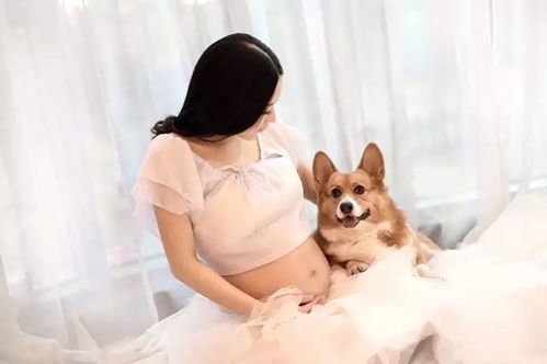 备孕或者怀孕可以养猫狗吗