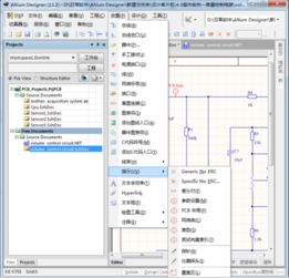 用altium designer 画原理图时有的原理图上有个圈,圈里放个i,表示什么意思 