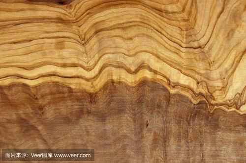 橄榄木纹理Olive wood texture photo 