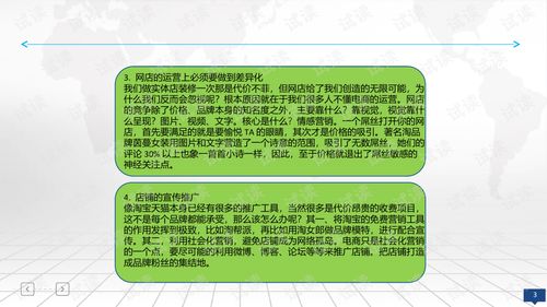 品牌电商运营方案.ppt