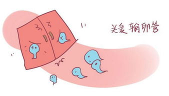 【上海红睦房中城医院】输卵管堵塞的原因及检查方法