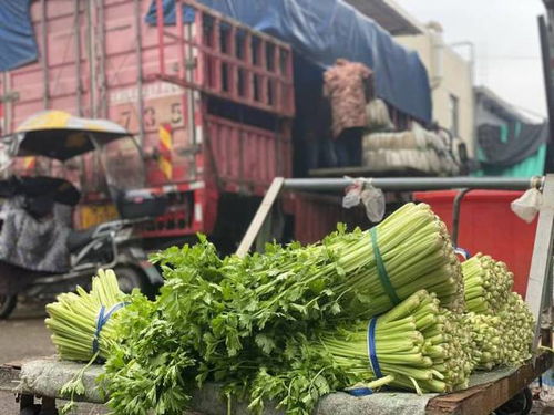 滚动 杭州蔬菜批发交易市场正常营业中,临时管控的不是它,但入场需核酸报告