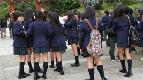 日本女孩子为何都喜欢穿短裙,仅是为了美丽 答案原来这么简单 