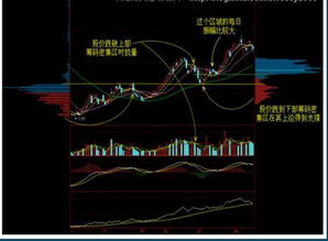 股票放出两天天量然后跳空低开什么意思