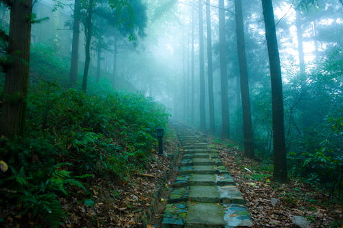 清凉世界 莫干山,一日深度体验的休闲之旅