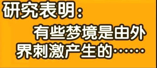 阿衰动漫 野猪长什么样 小衰睡大觉,做梦打飞老师