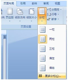 wps双列怎么排版，wps双列排版中需要放入长的图