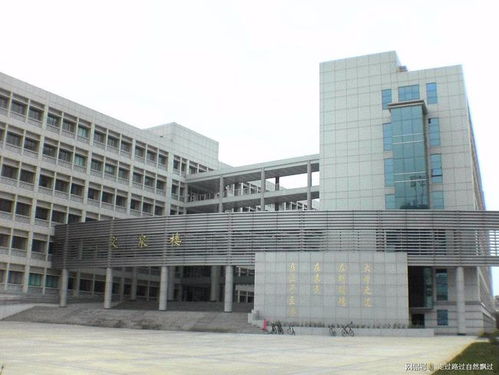 中南财经政法大学教务部，为什么中南财经政法大学教务部非法访问