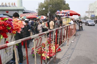 温州景山花鸟市场门口每到周日就成马路市场 