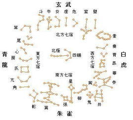 朱雀拆分的星宿是什么 