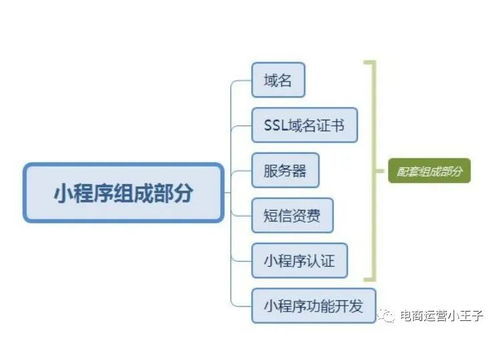 开发一个有赞商城需要多少钱