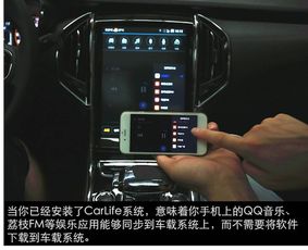 猎豹汽车app远程控制(猎豹CS10可以远程启动吗)
