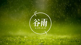 一方见地谷雨文案