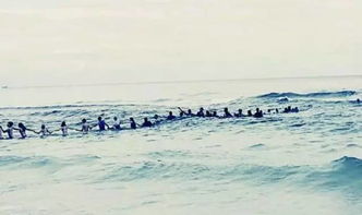 震撼 美国80陌生人组成壮观人链,救起被困海中的一家9口,在海边看到水变这样请立即上岸