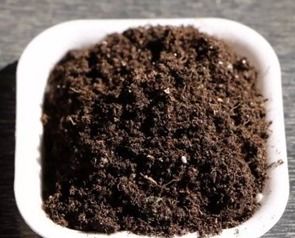泥炭土和松针土哪个养花好 泥炭土直接用还是掺土用