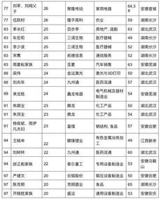 胡润2017华中地区富豪榜发布,武汉19位企业家上榜,阎志 刘宝林分别位列第二和第六位 