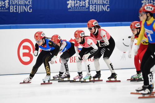 短道速滑 相约北京 冰上测试活动短道速滑比赛举行