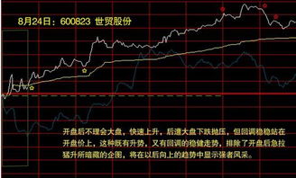 求问股票的涨幅规定是多少?涨停在K线图上怎么表示的?