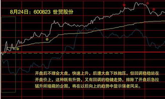 今天打开股票发现里面多了个070729燕京增发，这算什么意思?