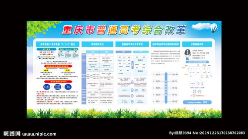 重庆高考改革图片 