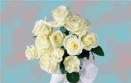 白玫瑰花语是什么意思 寓意 白色玫瑰适合送什么人