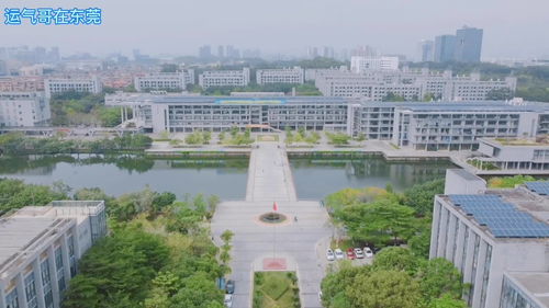 松山湖职业技术学院？松山湖有哪些大学啊