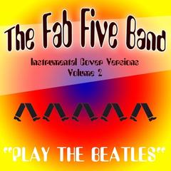 “the fab 5”是什么意思