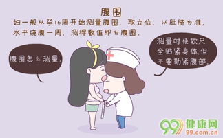 腹围是怎样量取的