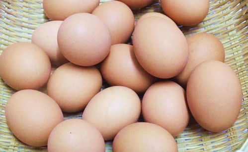 买鸡蛋时,认清四点,区分人造鸡蛋和天然鸡蛋