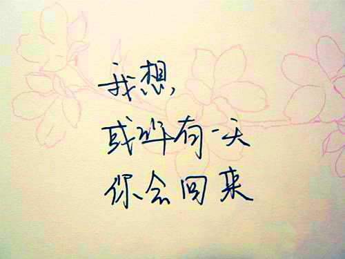 关于爱汉字的诗句