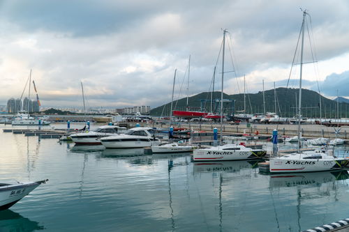 海南啥时候成为国际旅游岛(海南三亚什么时候评为的国际旅游岛)