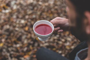 摘茶叶手法（摘茶叶技巧视频）