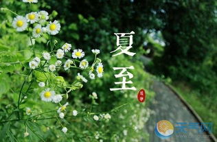 夏至是什么意思 2016夏至6月21日迎来 