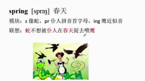 春夏秋冬英语单词趣味记忆,编故事巧记单词 春天 spring 