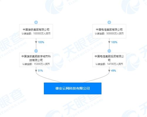 与一个公司合资成立了一个分公司，工商局注册时股东结构应该怎么写？