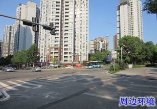 项目名称 重庆市巴南区李家沱融汇大道6号 融汇半岛6期 6栋1 6 2花园洋房一套 重庆产权交易网 