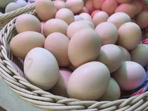 6个月的宝宝吃鸡蛋昏迷 这八种鸡蛋别再给宝宝吃了