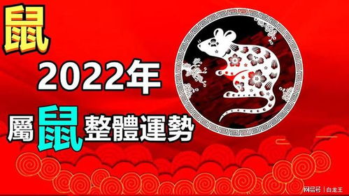 2022年12生肖 属鼠整体运势