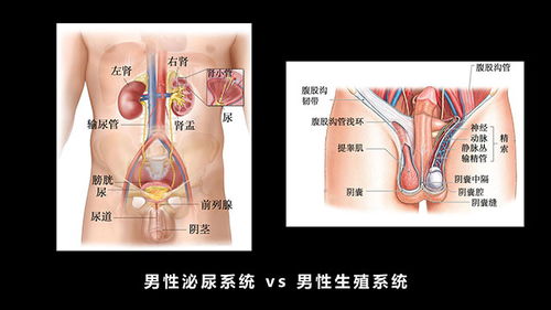 性1 E街风网 